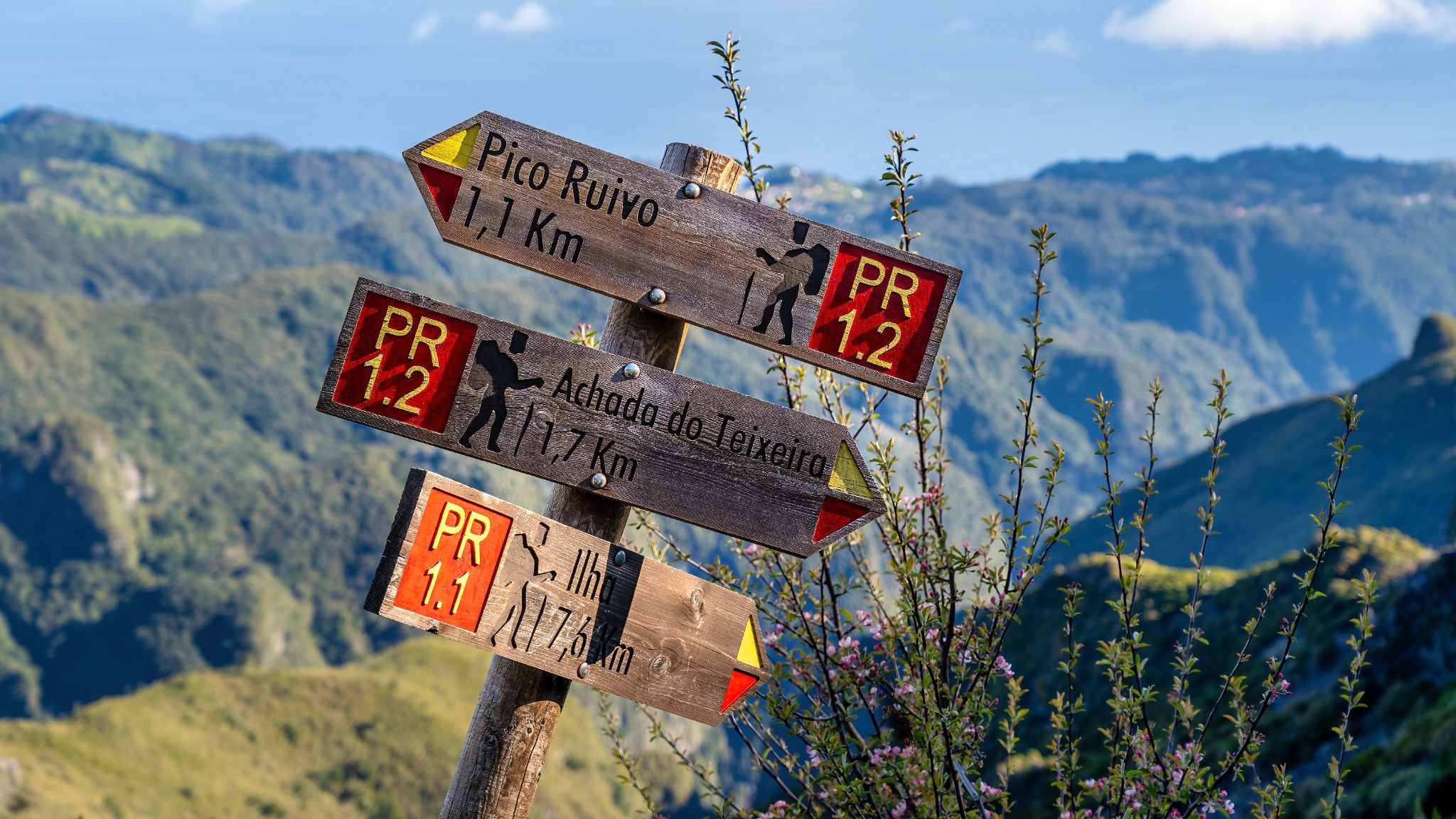 20250516 090858 Santana   Tagesausflug zum Pico Ruivo